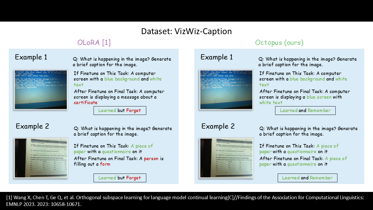 VizWiz Example